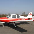 Beagle B-121 Pup 100