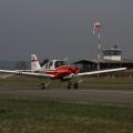 Beagle B-121 Pup 100