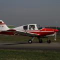 Beagle B-121 Pup 100