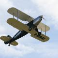 Kiebitz über dem Flugplatz Am Himmelreich