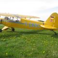 Piper PA 18 Cub - Grasberg