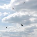 Flugplatzfest 2006