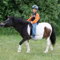Ponnyreiten