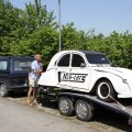 Citroenhnger