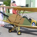 tiger_moth_na