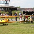 zwei_tiger_moth