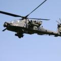 Tannkosh_2011_06
