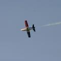 Tannkosh_2011_52