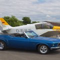 Mustang auf dem Grasberg am 22.6.2013