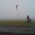 wunderbarer Nebel bei der Jahresnachprüfung